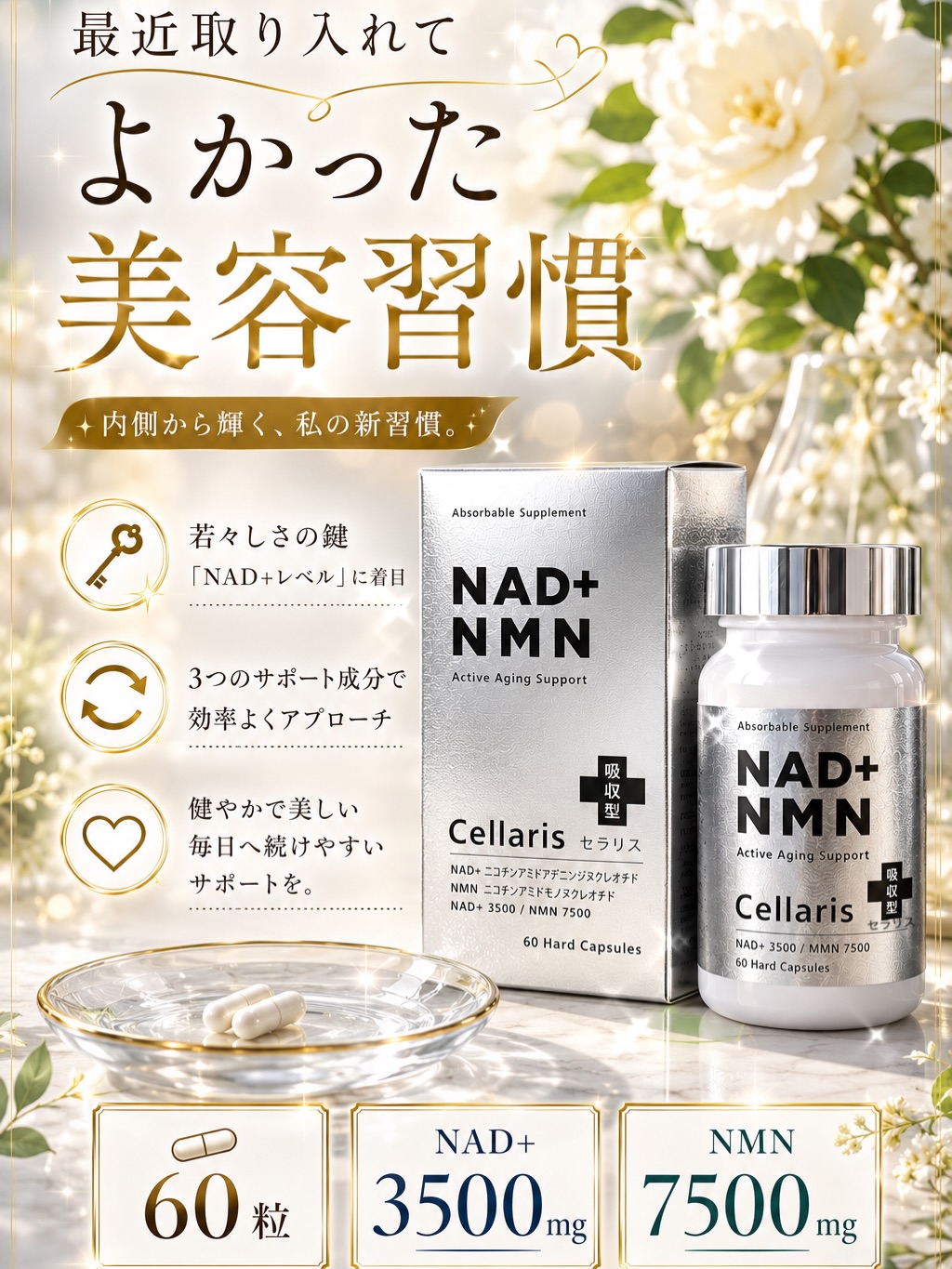 Cｅｌｌａｒｉｓ （ セラリス )