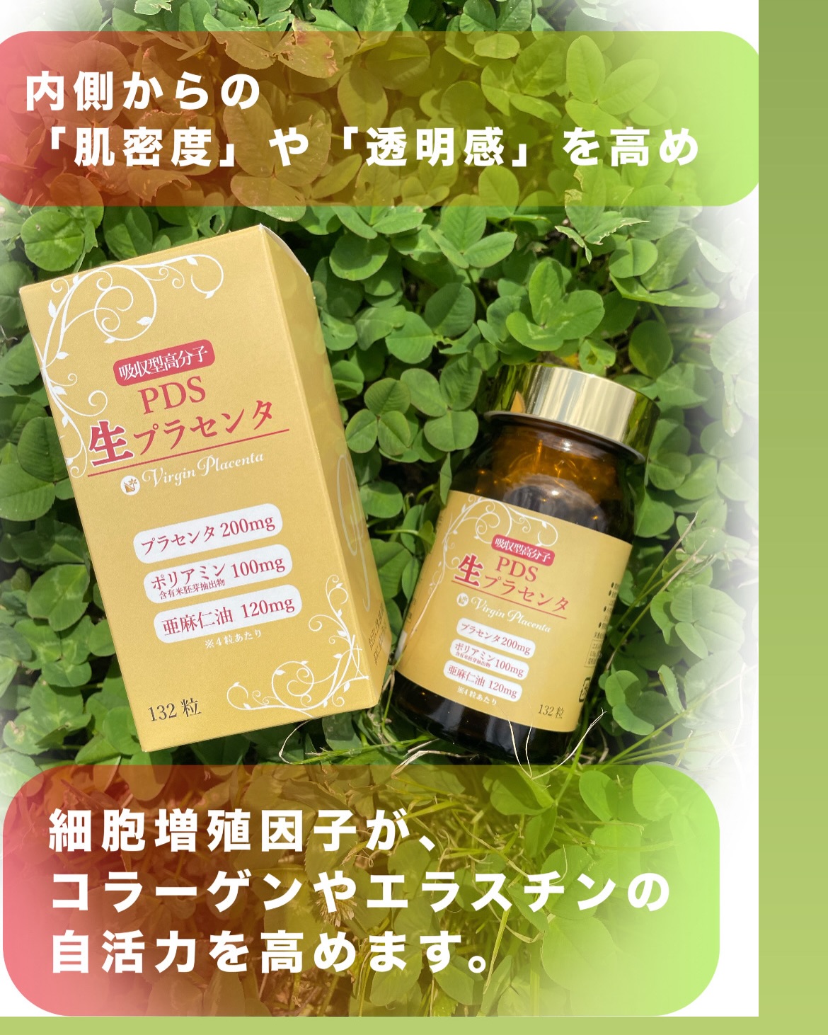 今すぐ問い合わせ！